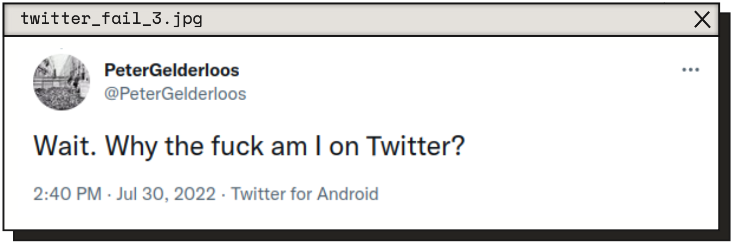 Пітер Гелдерлоос пише твіт у 2022: «Стоп. Якого дідька я користуюсь твіттером?»